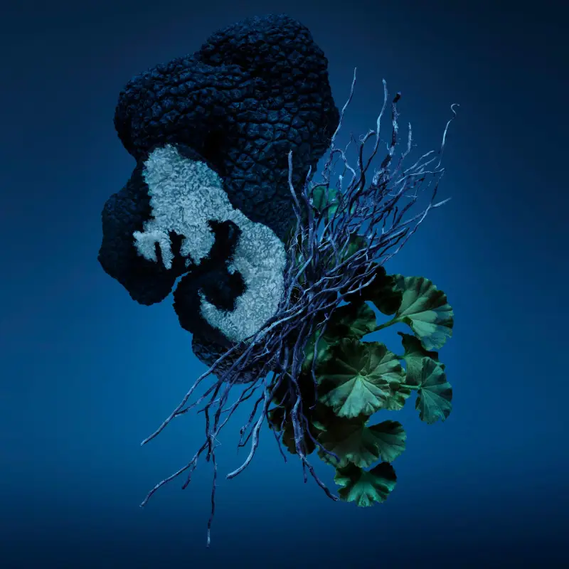 Carolina Herrera Eau de Parfum Uomo Blu 3019263 miniatura 3