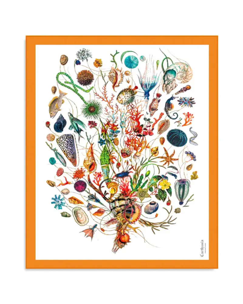 A’mmare Pareo Cotone Fondo Bianco Bordo Arancio