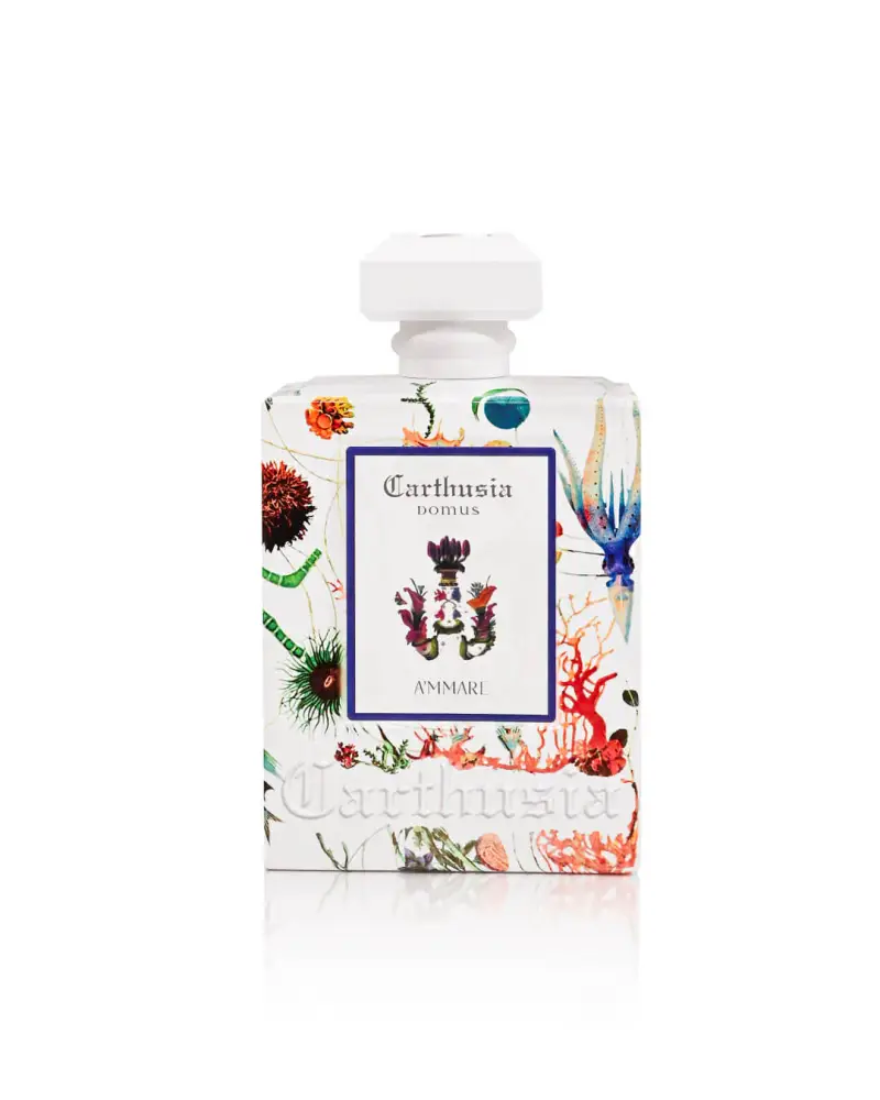 Domus A Mmare Diffusore per Ambiente 230ml aromatico