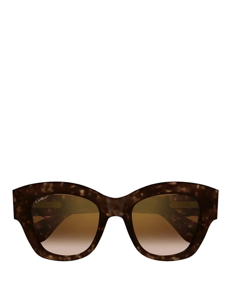 Occhiali da sole Marrone