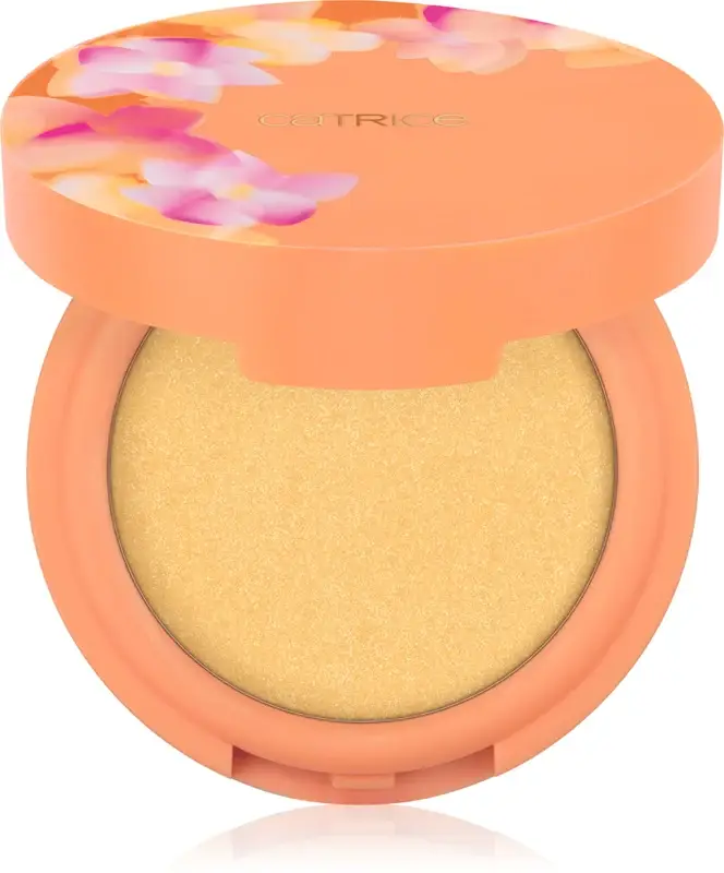 SEEKING FLOWERS cipria illuminante colore C02 S-peachless 5,5 g