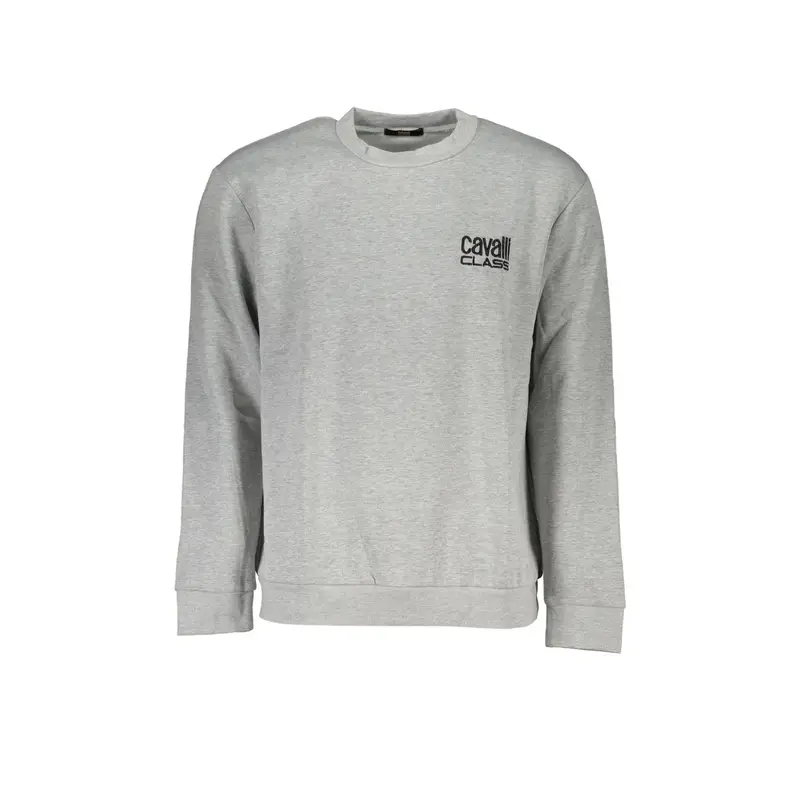 Felpa Maniche Lunghe Uomo Grigia Ricamo Grigio
