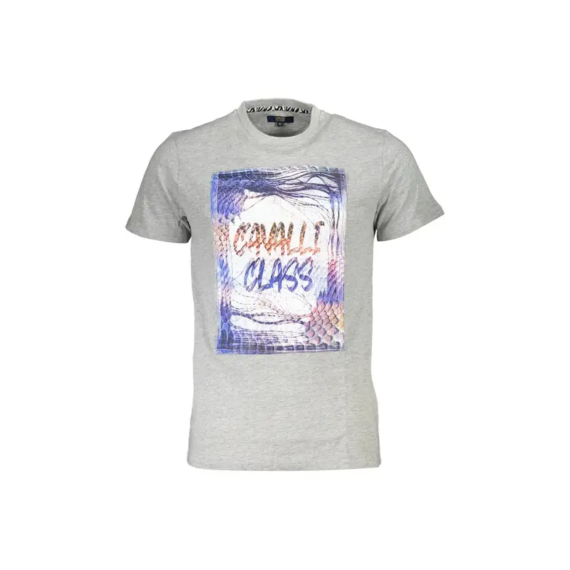 Cavalli Class T-shirt Uomo Grigio 4071941