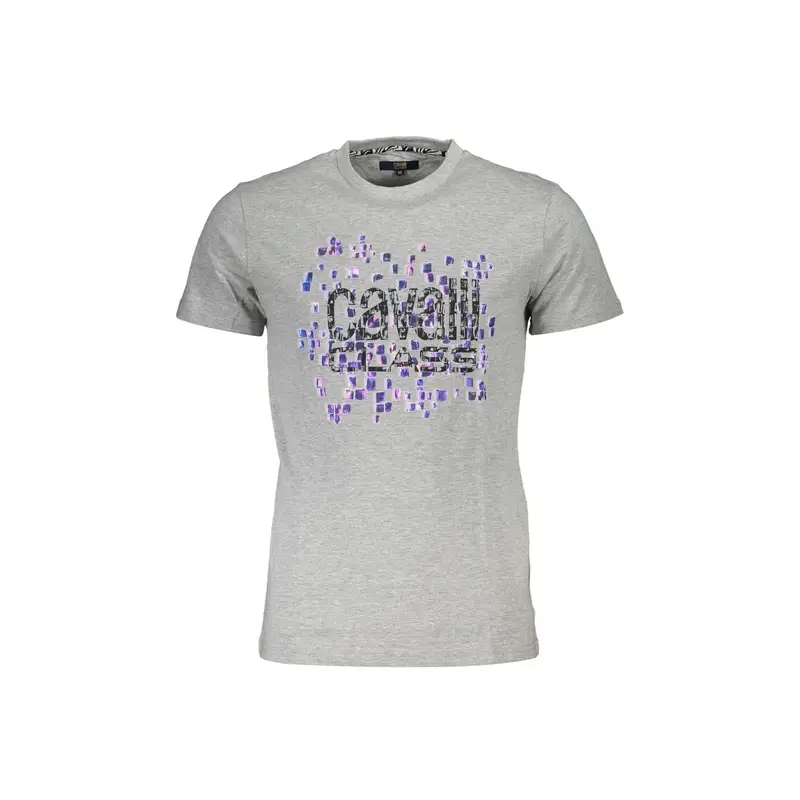 Cavalli Class T-shirt Uomo Grigio 4071867