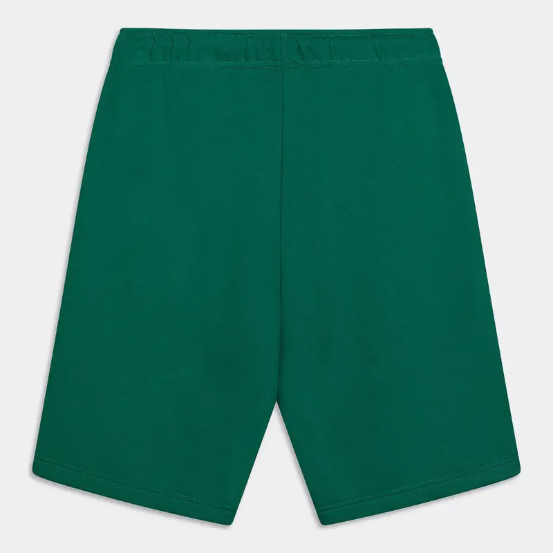 Pantaloni Champion da Uomo, verde miniatura 2