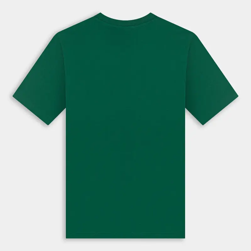 Champion T-shirt Uomo Verde 2683505 miniatura 2