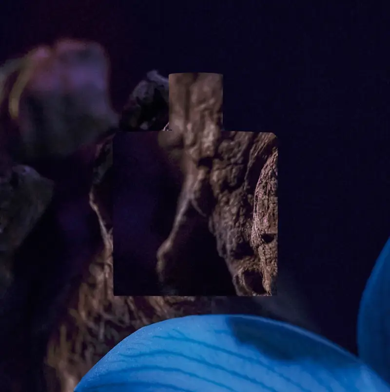 Chanel Eau de Parfum Uomo Blu 3063621 miniatura 4