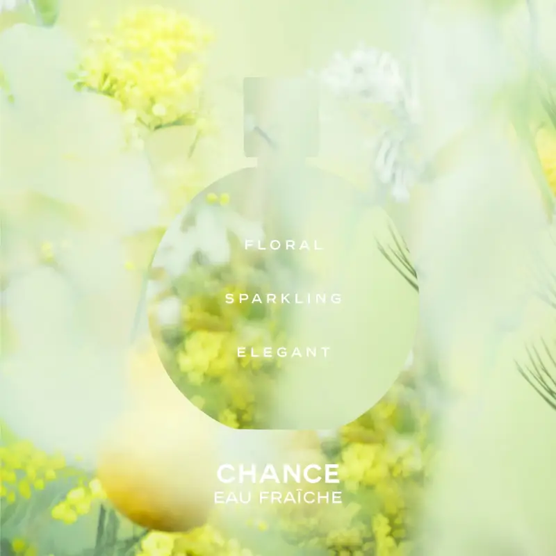 Chanel Eau de Toilette Donna 3064343 miniatura 3