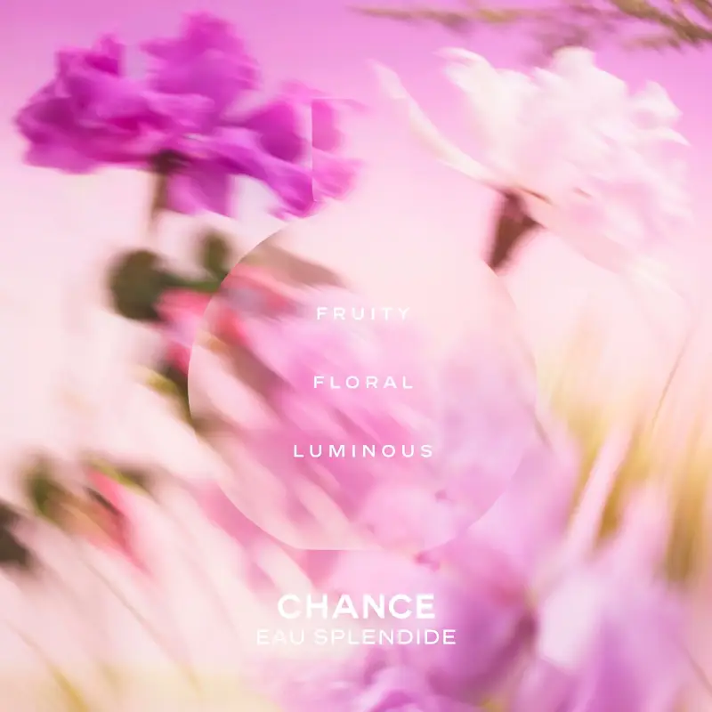 Chanel Eau de Parfum Donna 3041277 miniatura 4