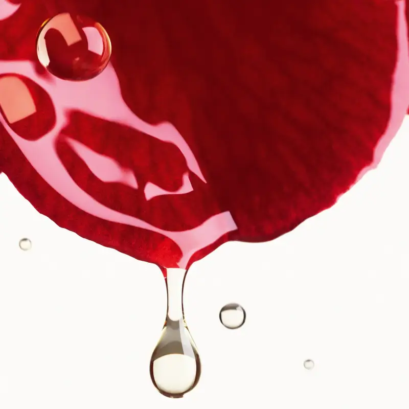 N°1 DE CHANEL N°1 DE CHANEL CREMA ALLA CAMELIA ROSSA - Trattamento antietà pelli mature, Crema antirughe miniatura 5