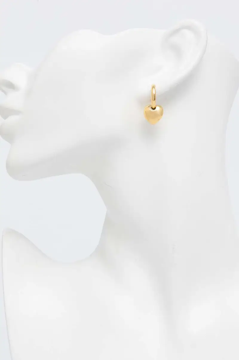 Chiara Ferragni Orecchini Oro 3153515 miniatura 2