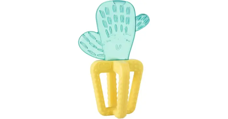 Fresh dentaruolo Cactus 4 m+ 1 pz