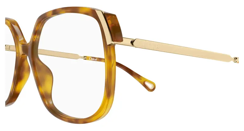 Donna Chloé CH0287O 008 Montature da vista Acetato Havana Trasparente Squadrata miniatura 3