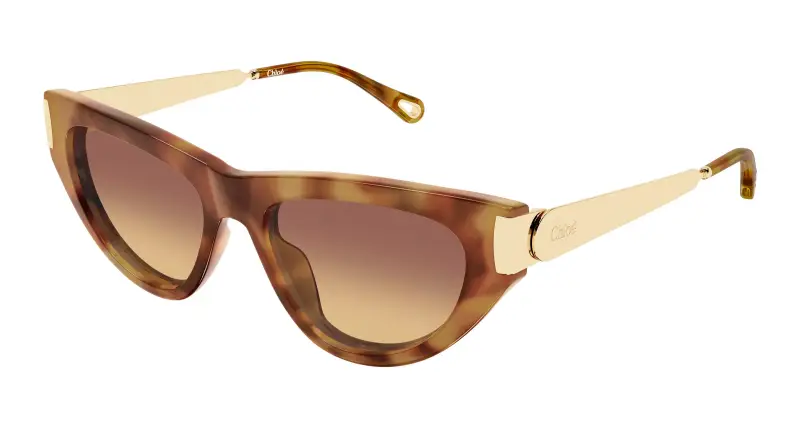 Donna Chloé CH0350S 002 Occhiali da sole Acetato Havana Marrone Cat Eye