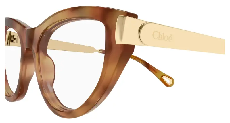 Donna Chloé CH0352O 002 Montature da vista Acetato Havana Trasparente Cat Eye miniatura 3