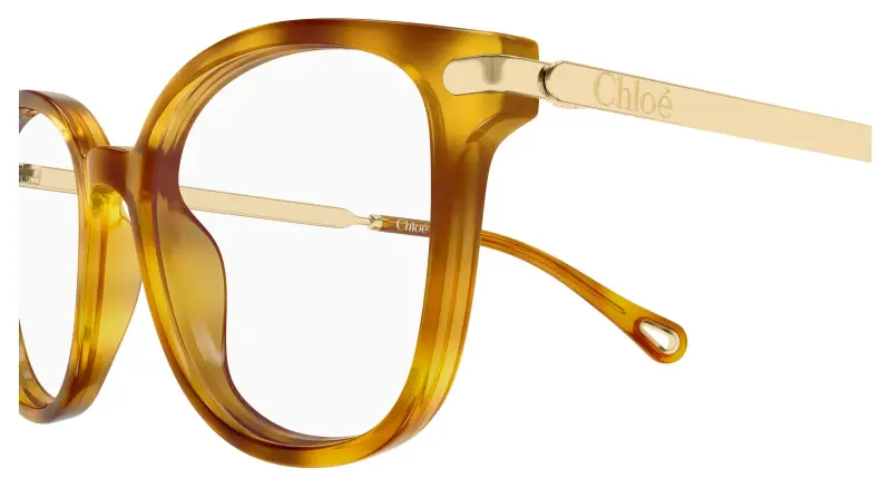 Donna Chloé CH0359O 002 Montature da vista Acetato Havana Trasparente Squadrata miniatura 3