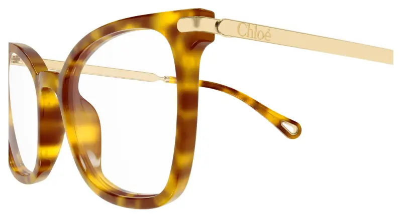 Donna Chloé CH0360O 002 Montature da vista Acetato Havana Trasparente Squadrata miniatura 3