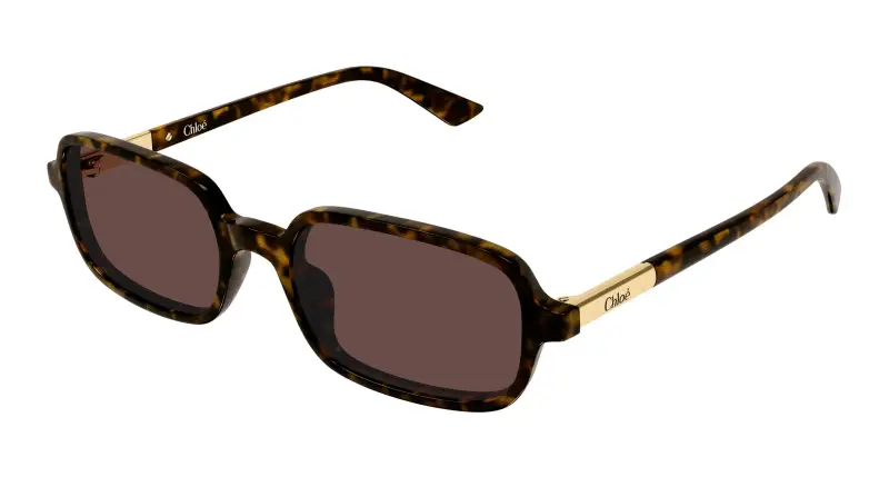 Donna Chloé CH0363S 002 Occhiali da sole Acetato Havana Marrone Squadrata