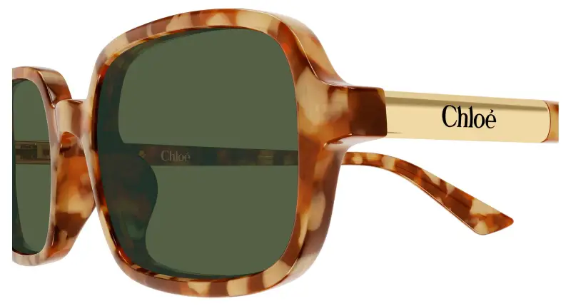 CHLOE' Occhiali da sole Donna Multicolore 4301858 miniatura 3