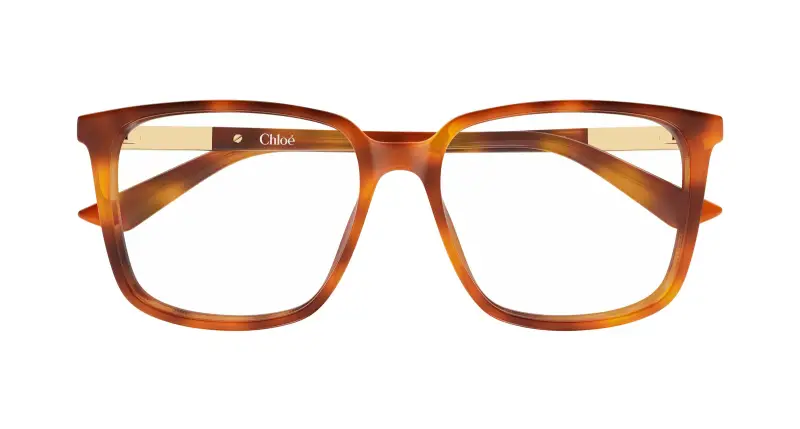 Donna Chloé CH0369O 002 Montature da vista Acetato Havana Trasparente Squadrata miniatura 2