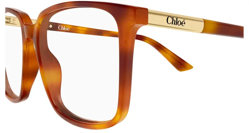 Donna Chloé CH0369O 002 Montature da vista Acetato Havana Trasparente Squadrata miniatura 3