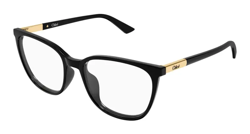 Donna Chloé CH0370OL 001 Montature da vista Acetato Nero Trasparente Cat Eye