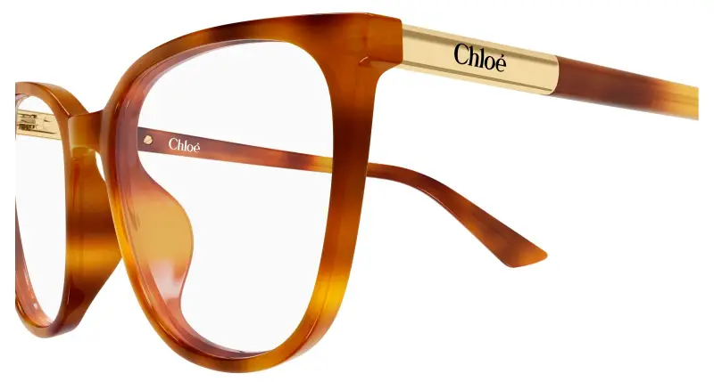 Donna Chloé CH0370OL 002 Montature da vista Acetato Havana Trasparente Cat Eye miniatura 3