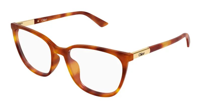 Donna Chloé CH0370OL 007 Montature da vista Acetato Havana Trasparente Cat Eye