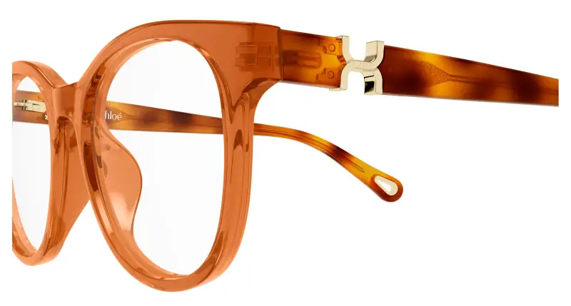 Donna Chloé CH0375O 004 Montature da vista Acetato Marrone Trasparente Rotonda miniatura 3