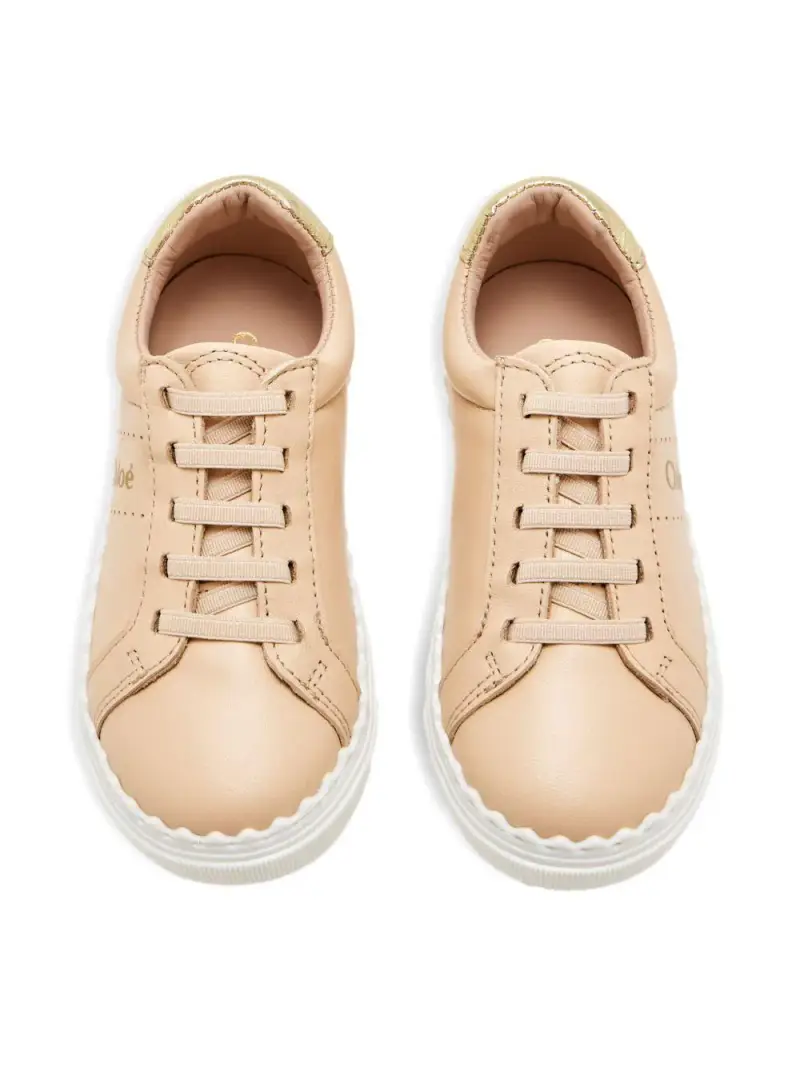 C2073046J Rosa petalo miniatura 3