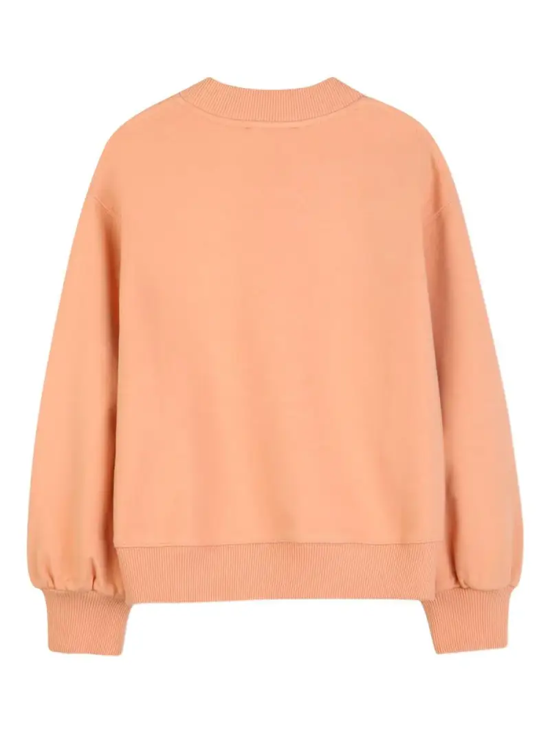 C2084543A Albicocca miniatura 3