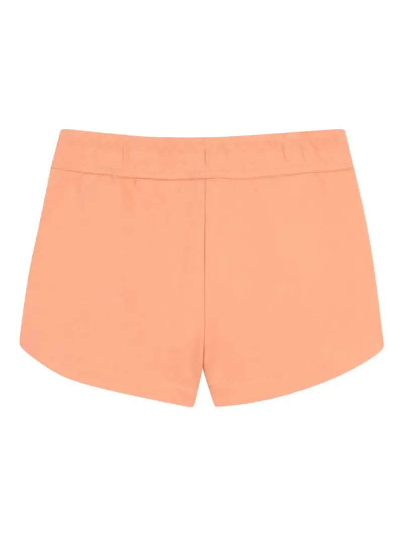 C2084643A Albicocca miniatura 2