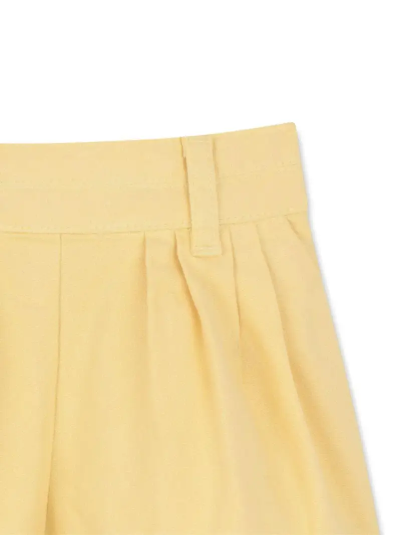 C2091152A Giallo polvere miniatura 2