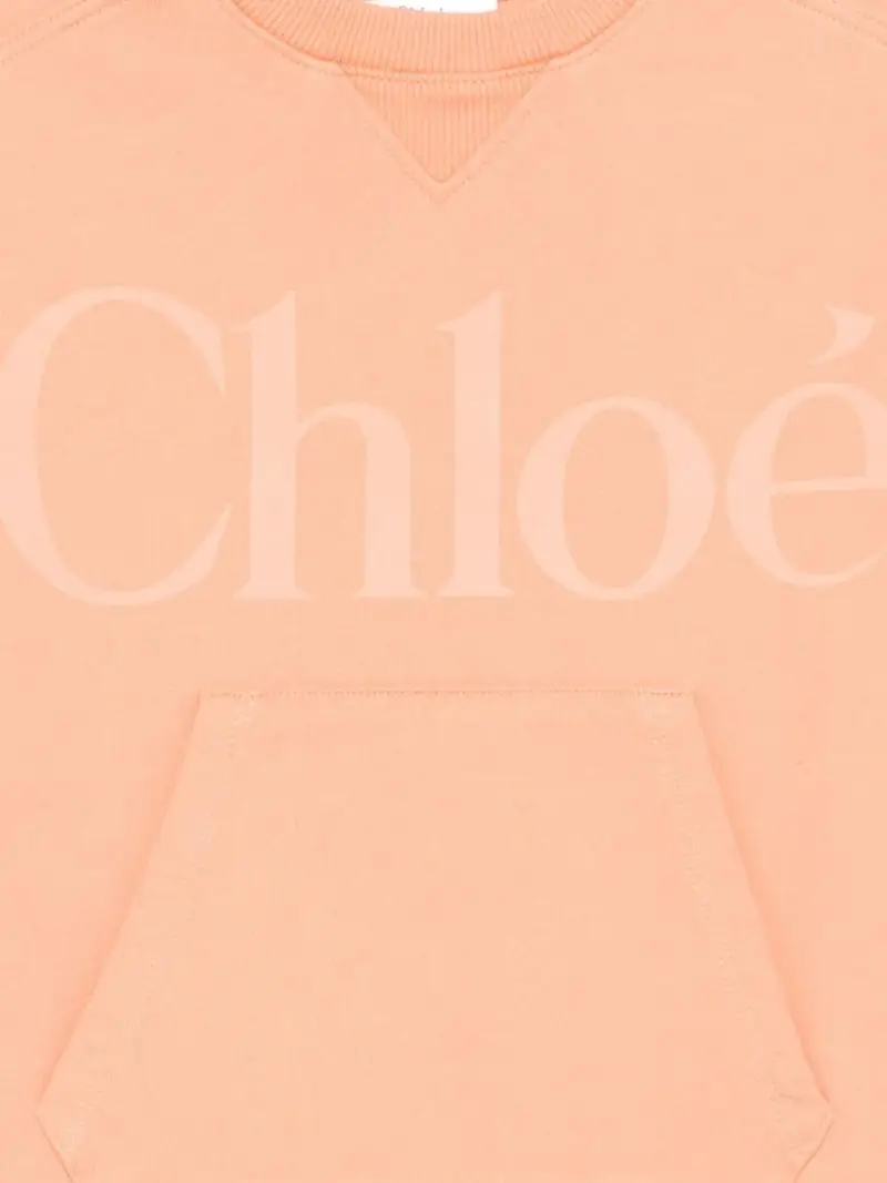 C2123043A Albicocca miniatura 2