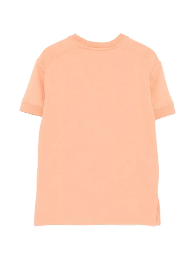 C2123043A Albicocca miniatura 3