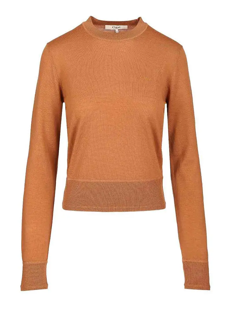 Maglione di lana Marrone