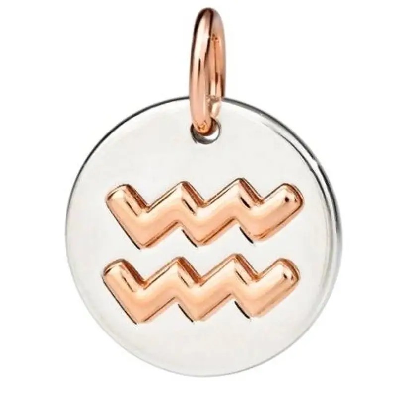 Ciondolo Charm Dodo Zodiaco Acquario DMC2012_ZODAC_0009A