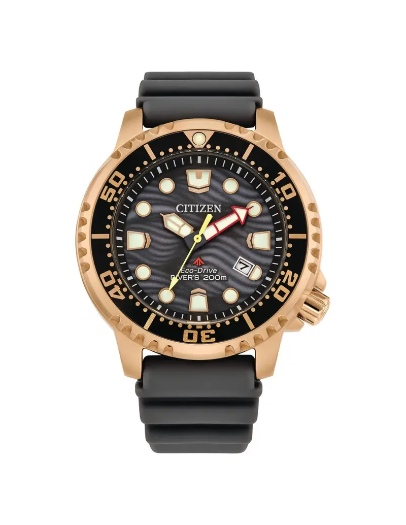 Orologio CITIZEN Diver's Eco Drive 200 mt BN0163-00H Grey con cinturino in gomma