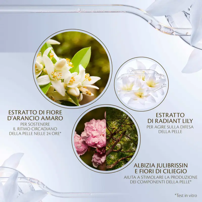 Key Radiance Care Advanced Intensive Night Cream - Crema antirughe, Crema idratante viso miniatura 4