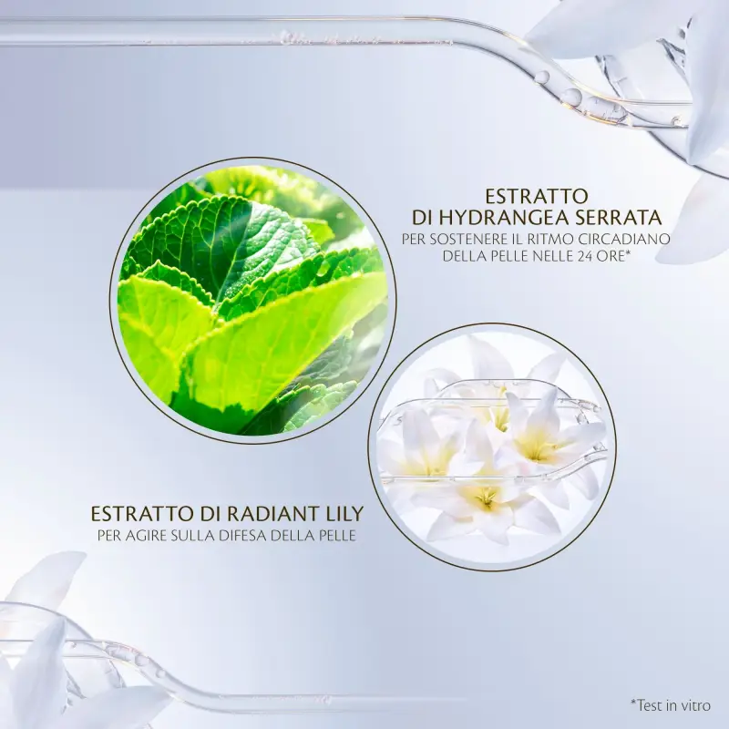 Key Radiance Care Protective Day Emulsion - Crema idratante viso, Trattamento viso antirughe miniatura 4