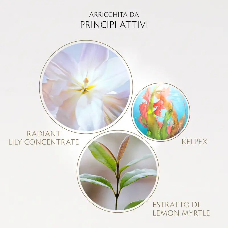 Key Radiance Care The Serum Refill - Siero antirughe, Siero viso illuminante miniatura 5