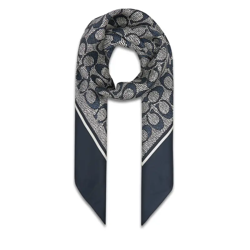 Foulard Coach 29C2755 Grigio