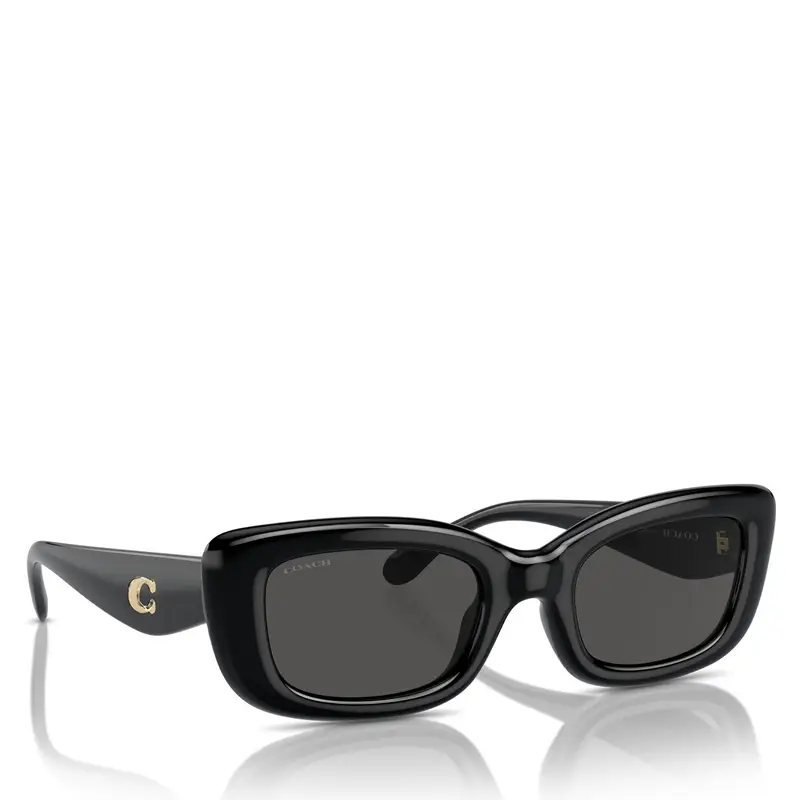 Occhiali da sole Coach 0HC8390U 500287 Nero