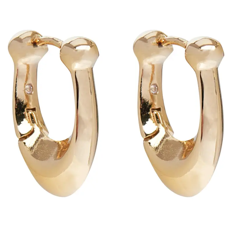 Coach Orecchini Oro 3068268