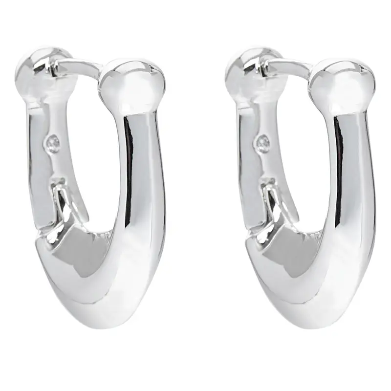 Coach Orecchini Argento 3068269