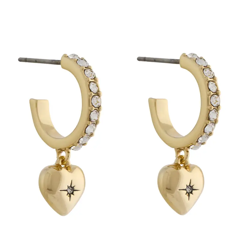 Coach Orecchini Oro 3068294