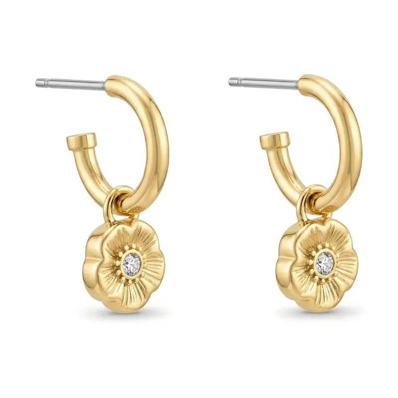 Coach Orecchini Oro 4243418