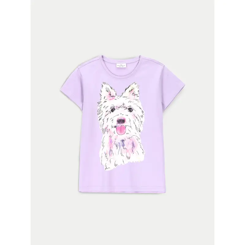 Coccodrillo T-shirt Viola 3209726