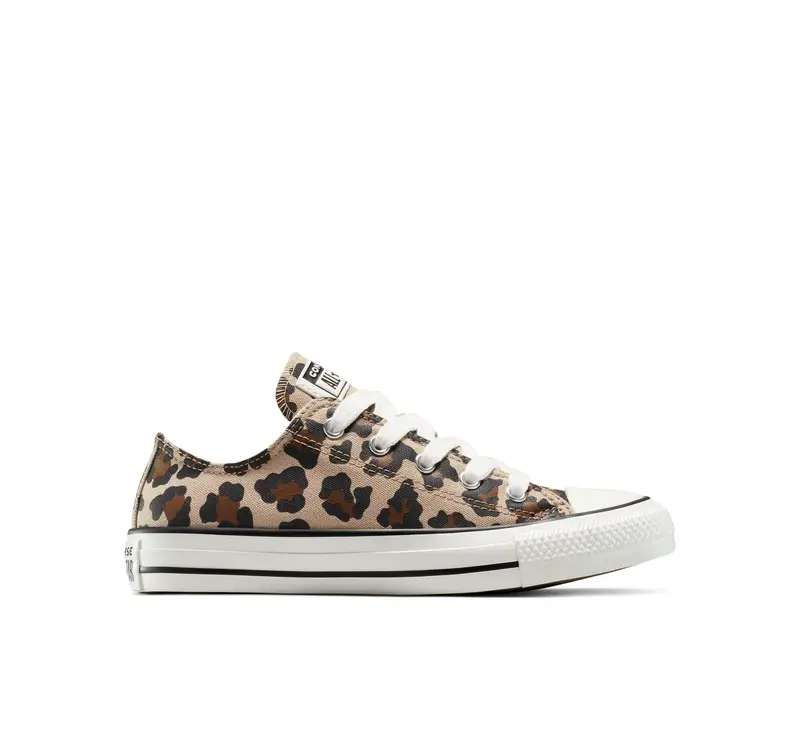 Converse Top Marrone 2315581