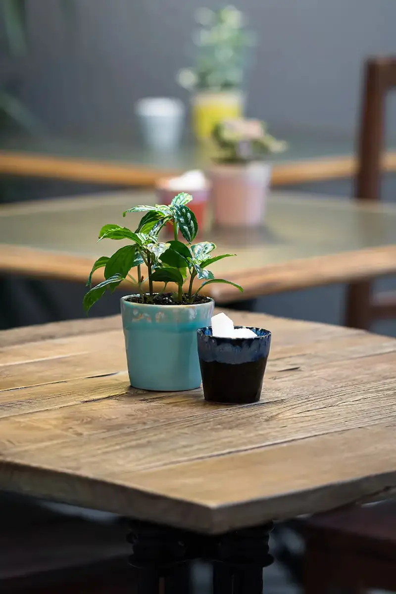 set tazzine da caffe Grespresso Lungo 190 ml pacco da 6 colore turchese miniatura 3